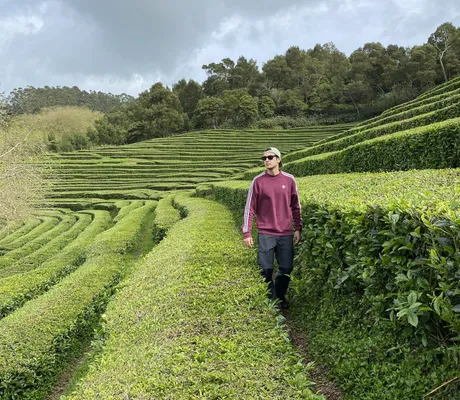 Walking through tea fields